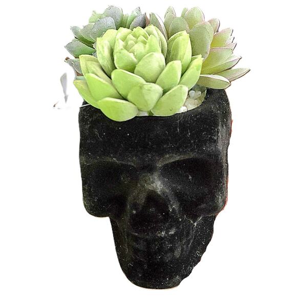 Flocked Black Skull Planter w/ 3 Artificial Succulents - Picture 1 of 4